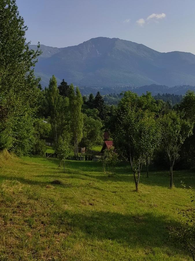 فيلا Casa Danci Centru Borşa المظهر الخارجي الصورة