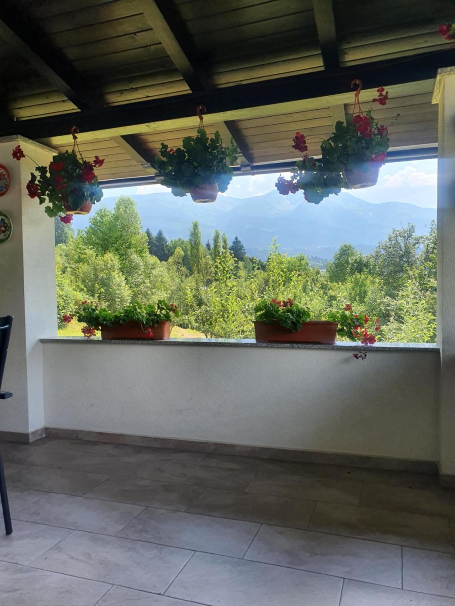 فيلا Casa Danci Centru Borşa المظهر الخارجي الصورة